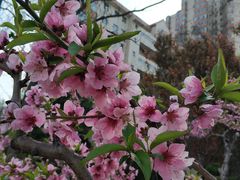 -迎泽公园