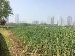 -尚贤河湿地