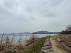 -渤公岛生态公园