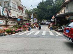 -溪岸路花鸟市场