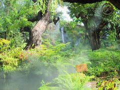 -Chom Cafe and Restaurant