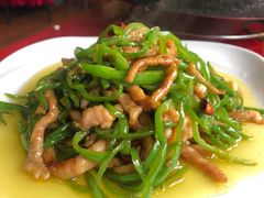 青椒肉丝-南渝食府.石锅鸡(尚城花园店)