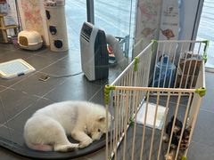 -萌兽医馆·眼科·异宠专科(三里屯店)