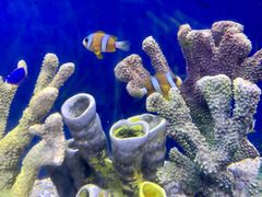 -常州海昌海洋探索馆