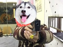 -真枪汇射击俱乐部(福州奥体阳光天地店)