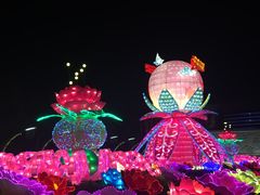 -映月湖公园