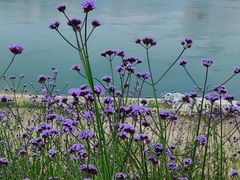 -石井坡(地铁站)