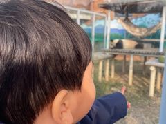 -苏州太湖国家湿地公园