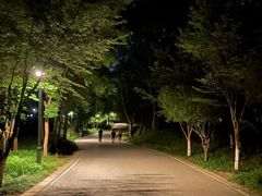 -紫金山山顶公园