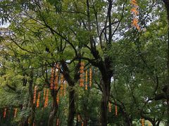 -慈城古县城景区