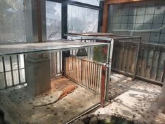 -上海大自然野生昆虫馆(东方明珠·爬宠昆虫探索中心)
