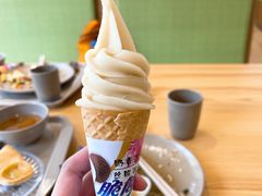 -田素(稻田创业小镇店)