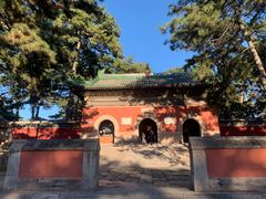 -普乐寺