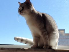 -沐沐家宠物(成寿寺店)