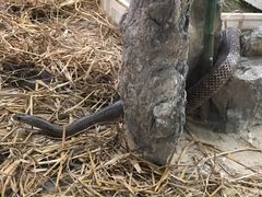 -荔城生鲜盛宴(番禺旗舰店)