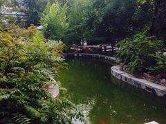 国御温泉度假小镇-国御温泉度假小镇