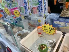 -米卢宠物公园(广华居店)