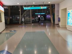 -龙阳路磁悬浮列车总站-停车场