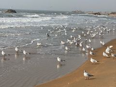 -老虎石海上公园