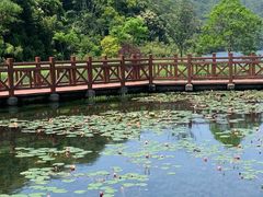 -广州市石门国家森林公园