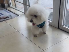 -宠福鑫康馨动物医院·骨科·眼科