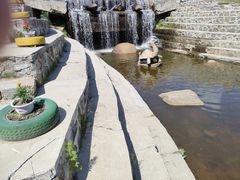 -五营国家森林公园
