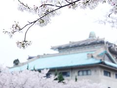 -武汉大学-樱园