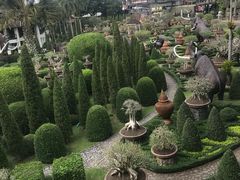 -东芭乐园
