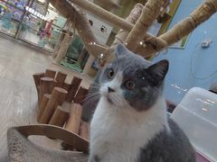 -牛喵喵铜锅牛肉馆
