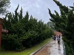 -旅顺博物馆
