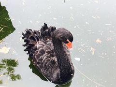 -济南南郊宾馆