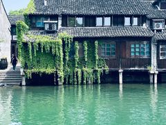 -乌镇景区