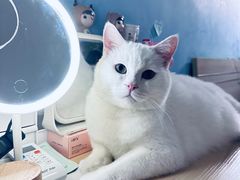 -好朋友餐馆(踏水桥北街店)