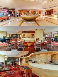 -海航威斯汀酒店·宴会厅