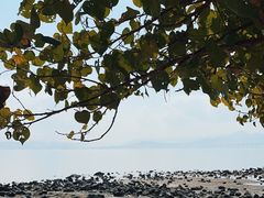 -深圳湾公园(南山区)
