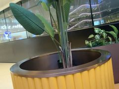 -满记甜品(北京东坝万达店)
