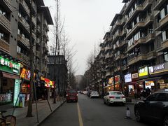 -奎星楼街