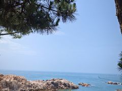 -小麦岛公园