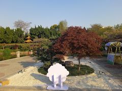 -嘉定紫藤园