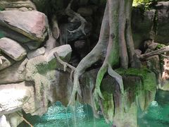 -福州罗源湾海洋世界旅游区
