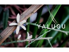 -呀路古热带植物园