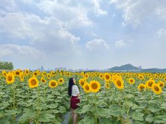 -光明小镇欢乐田园