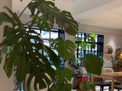 -一尺花园(安和花园店)