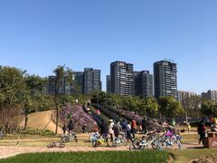 -顺峰山公园