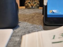 -宠颐生宠物医院外科·内科·皮肤科·影像科(石龙店)