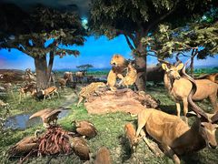 -国家自然博物馆