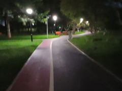 -大望京公园