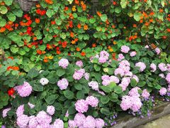 -凤来栖·净庭院·火锅(欧尚店)