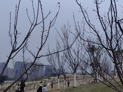 -重庆平顶山公园