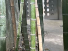 -穹六人间 people 6(岳阳路店)